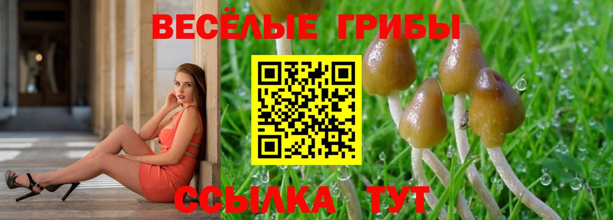Саянск  Псилоцибиновые грибы прущие грибы  Вход с VPN  как найти закладки  Псилоцибиновые грибы MAGIC MUSHROOMS 